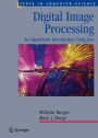 Digital Image Processing: An Algorithmic Introduction Using Java / Edition 1