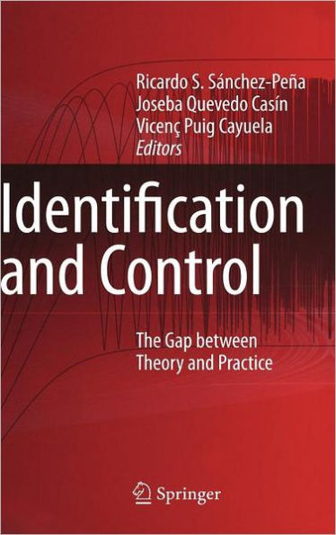 Identification and Control: The Gap between Theory and Practice