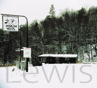 Mark Lewis