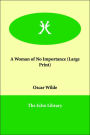 A Woman of No Importance (Large Print)