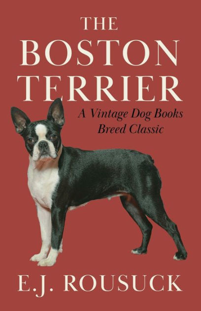 Kennel Club Show Me A Boston Terrier Westminster Boston Terrier