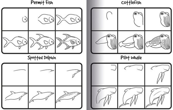How to Draw 101 Dolphins
