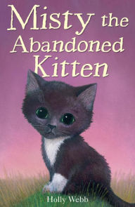 Misty the Adandoned Kitten