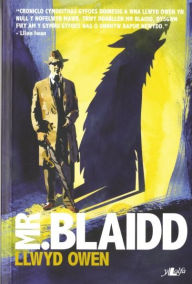 Title: Mr Blaidd, Author: Llwyd Owen