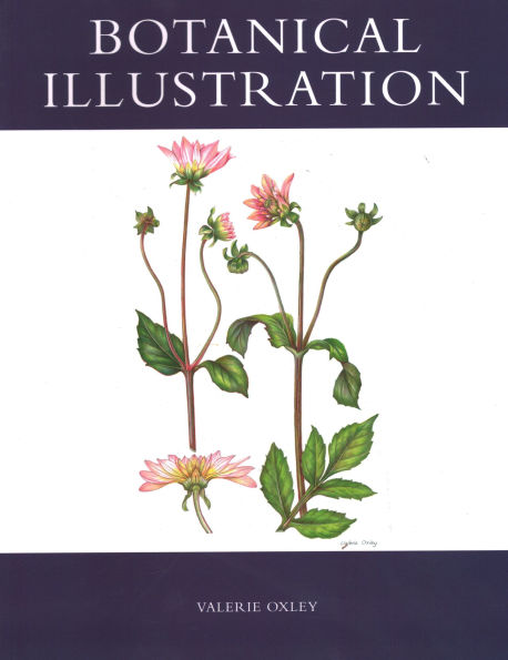 Botanical Illustration