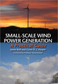 Small-Scale Wind Power Generation: A Practical Guide