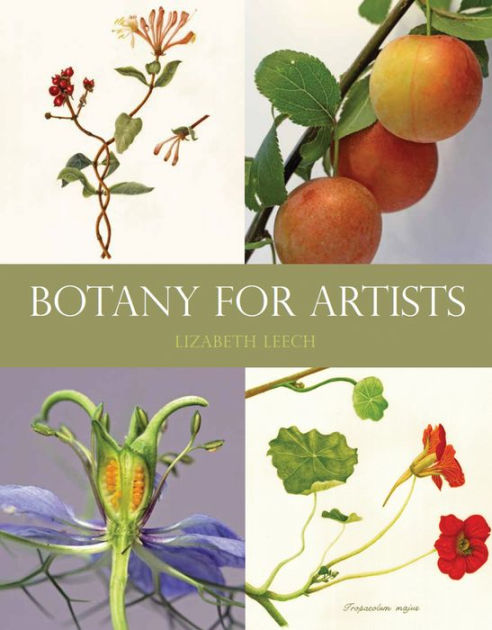 image for Botony for Artists, Lizabeth Leech