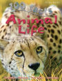 100 facts ANIMAL LIFE