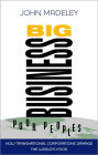 Big Business, Poor Peoples: How Transnational Corporations Damage the World's Poor / Edition 2