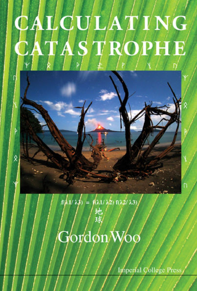 CALCULATING CATASTROPHE