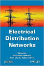 Electrical Distribution Networks