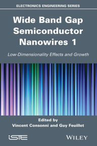 Title: Wide Band Gap Semiconductor Nanowires 1: Low-Dimensionality Effects and Growth / Edition 1, Author: Vincent Consonni