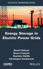 Energy Storage in Electric Power Grids / Edition 1
