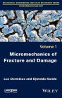 Micromechanics of Fracture and Damage / Edition 1