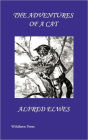 The Adventures Of A Cat (Illustrated Edition)