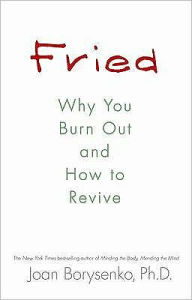 Fried: Why You Burn Out and How to Revive