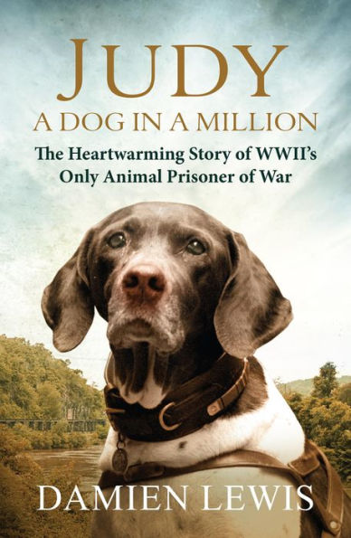 Judy: A Dog in a Million: From Runaway Puppy to the World's Most Heroic Dog