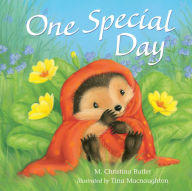 Title: One Special Day, Author: Tina Macnaughton