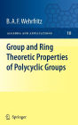 Group and Ring Theoretic Properties of Polycyclic Groups / Edition 1