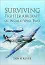 Surviving Fighter Aircraft of World War Two: Fighters