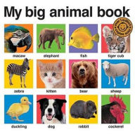 My Big Animal Book