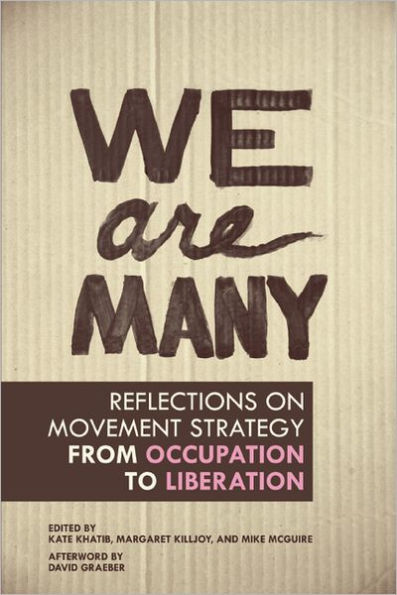 We Are Many: Reflections on Movement Strategy from Occupation to Liberation