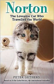 Norton, the Loveable Cat Who Travelled the World