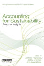 Accounting for Sustainability: Practical Insights / Edition 1