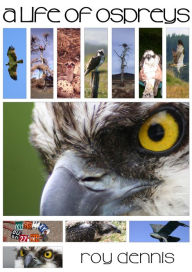 A Life of Ospreys