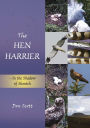The Hen Harrier: In the Shadow of Slemish