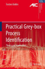 Practical Grey-box Process Identification: Theory and Applications / Edition 1