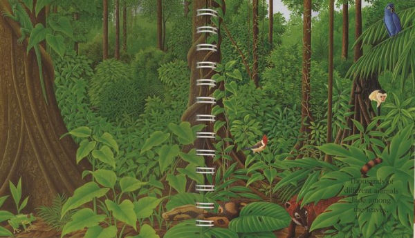 The Jungle