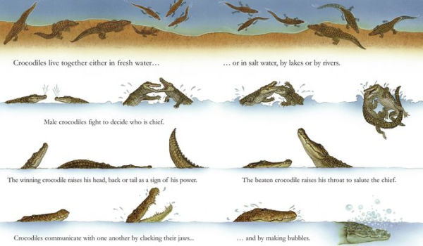 Crocodiles
