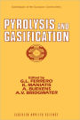 Pyrolysis and Gasification / Edition 1