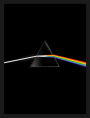 Pink Floyd: Their Mortal Remains