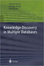 Knowledge Discovery in Multiple Databases / Edition 1