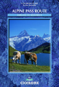The Alpine Pass Route