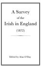 A Survey of the Irish in England (1872)