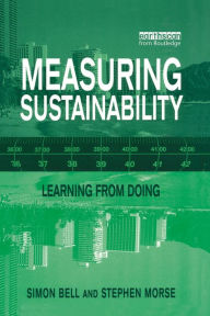 Measuring Sustainability: Learning by Doing