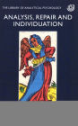Analysis, Repair and Individuation