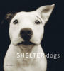 Shelter Dogs