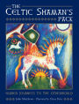 Celtic Shaman's Pack: Journeys on the Shaman's Path