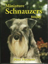 Miniature Schnauzers Today