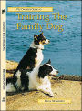Training the Family Dog
