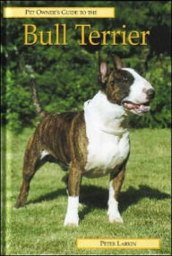 Bull Terrier
