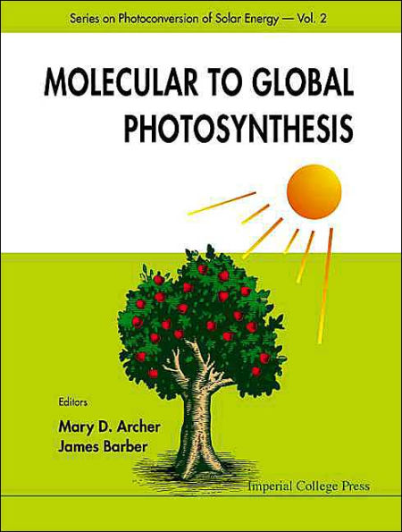 Molecular To Global Photosynthesis