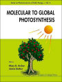 Molecular To Global Photosynthesis