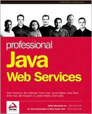 Professional Java Web Services / Edition 1
