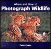 Where and how to Photograph Wildlife