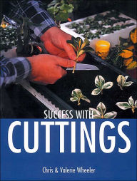 Success with Cuttings